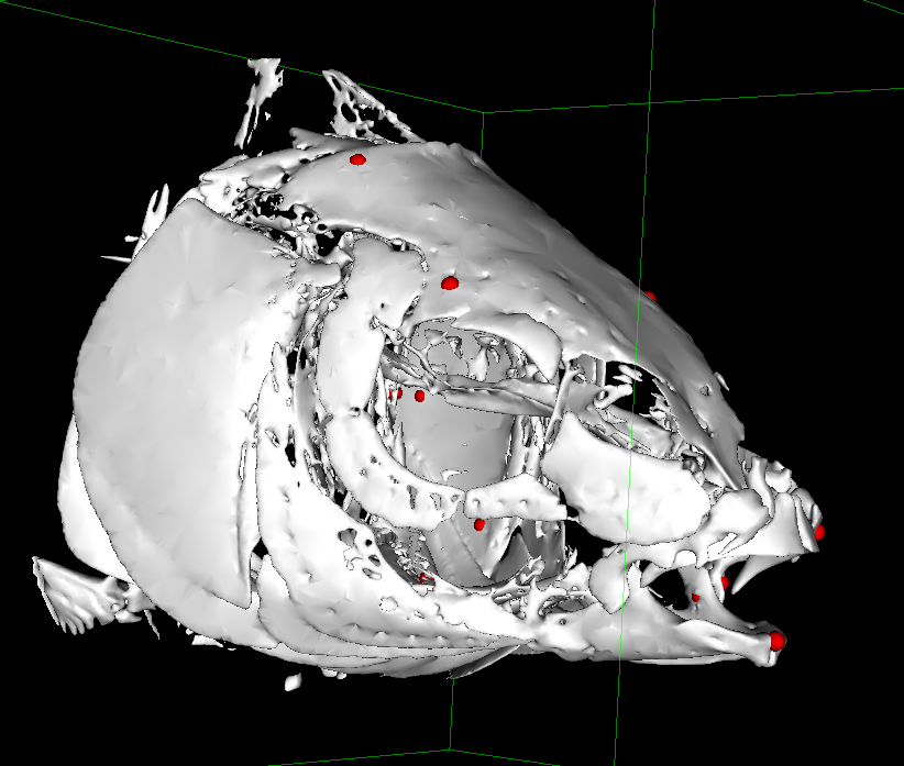 Catfish Visualization